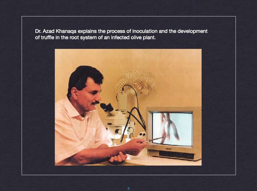 In vitro culture research