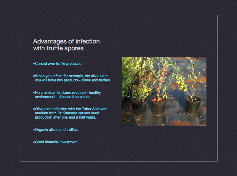 Hyphal growth analysis