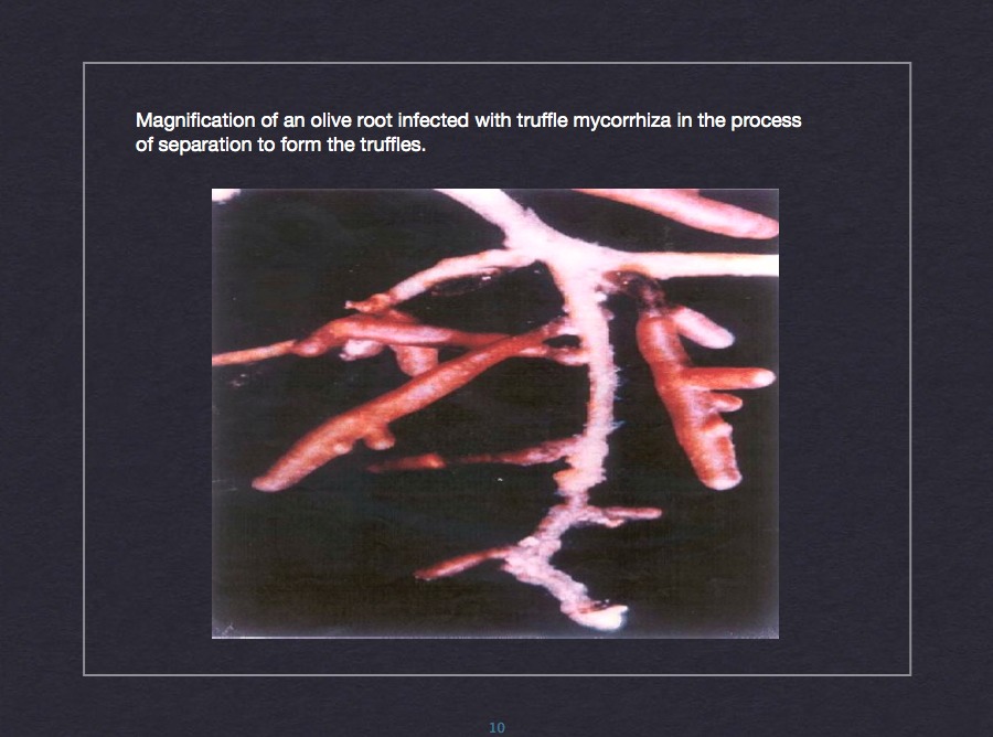 Media composition study