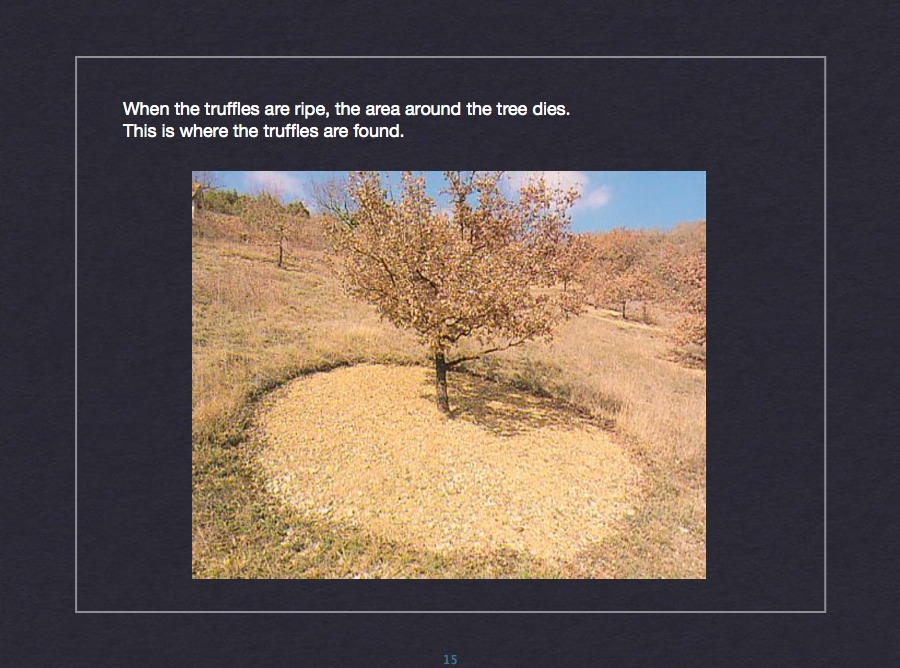 Field research results