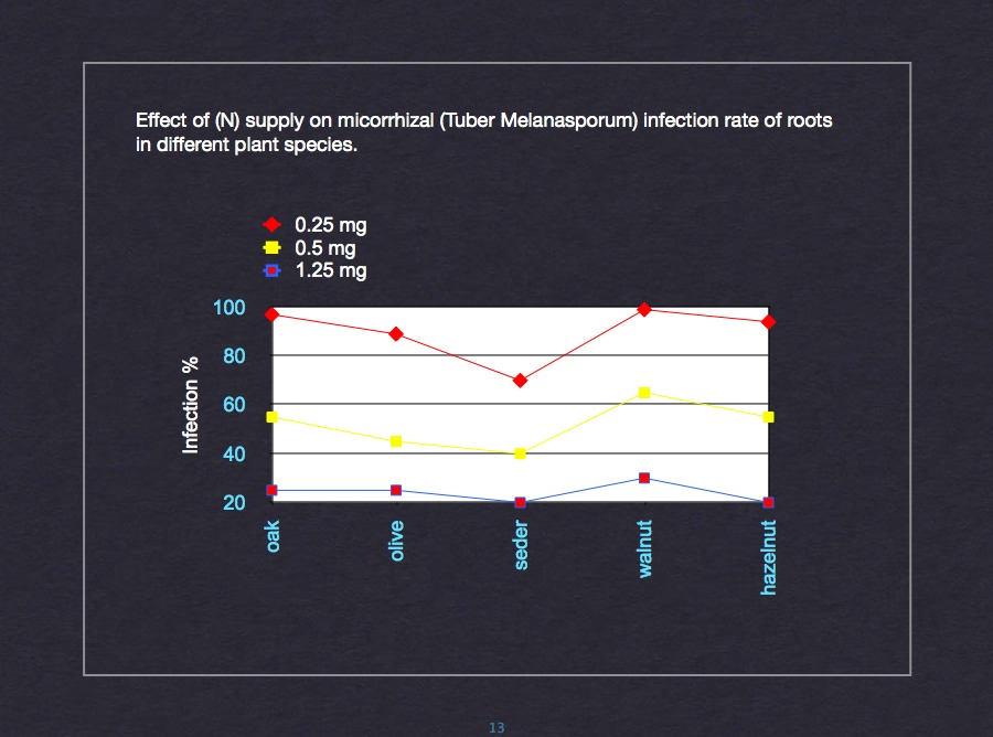 Ascospore development